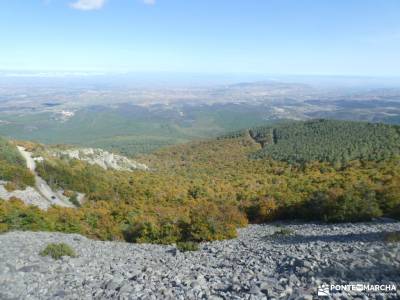 Tierras de Soria y Zaragoza - Parque Natural del Moncayo; bosque mediterraneo viajes para solteros s